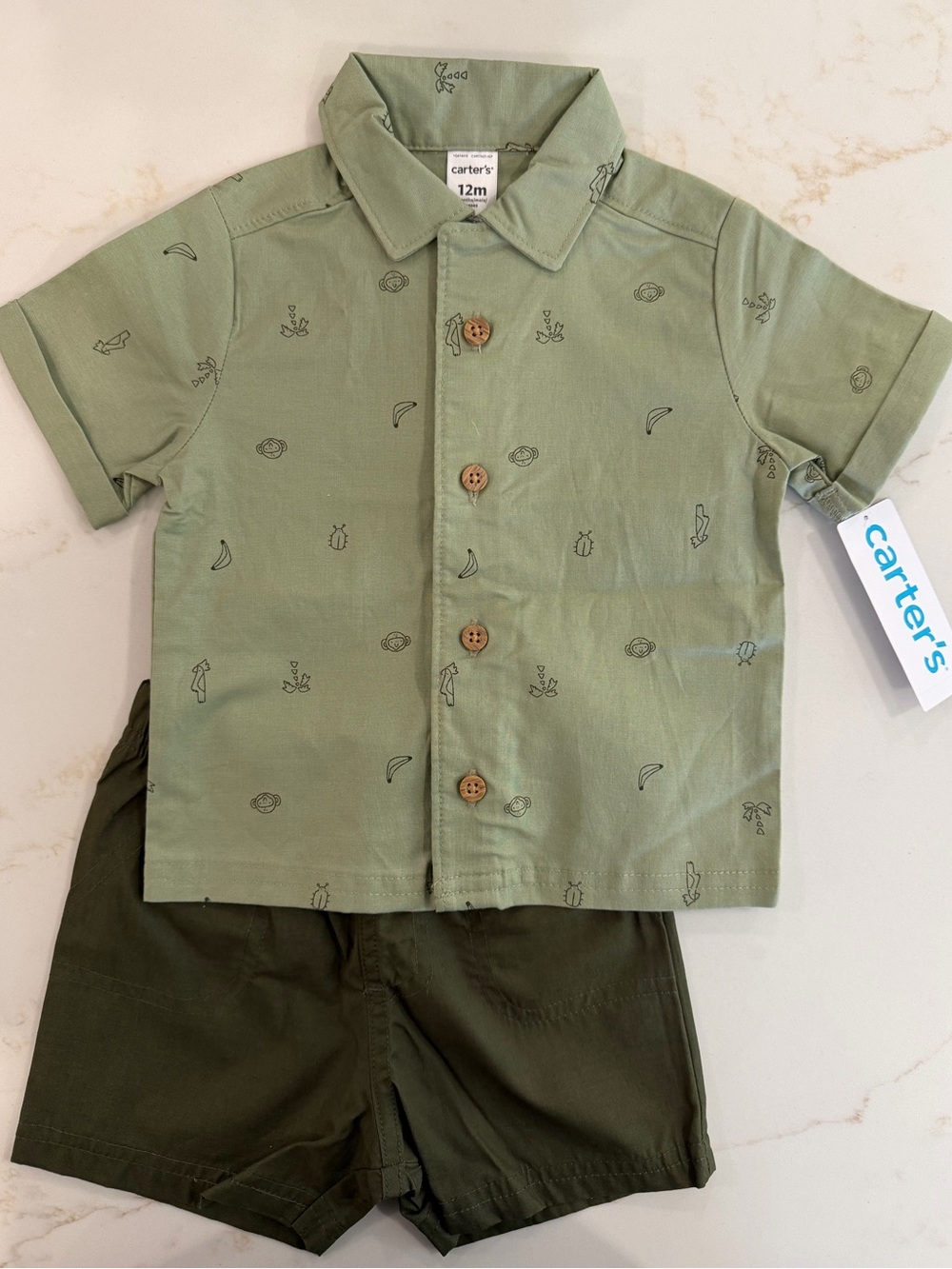 Carter's Short Sleeve Button Shirt and Olive Shorts Set